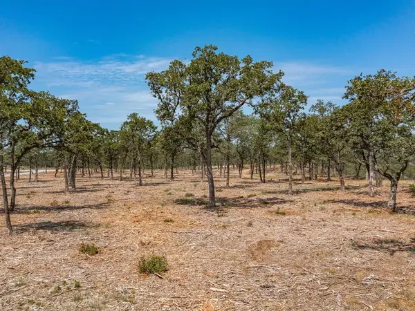 Lot 12 Choate, Bowie, TX 76230
