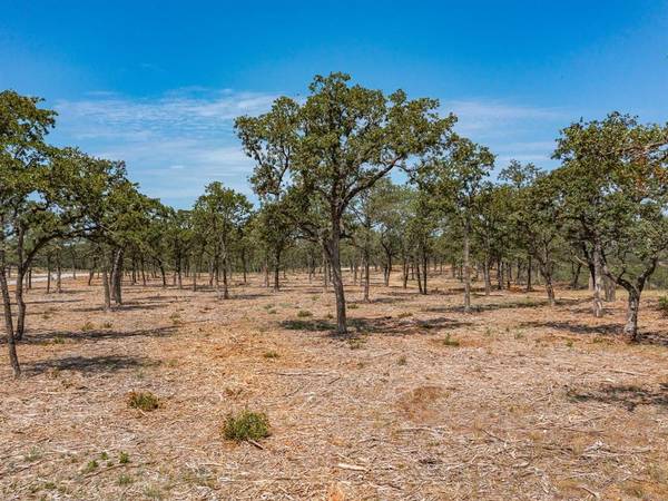 Lot 12 Choate, Bowie, TX 76230