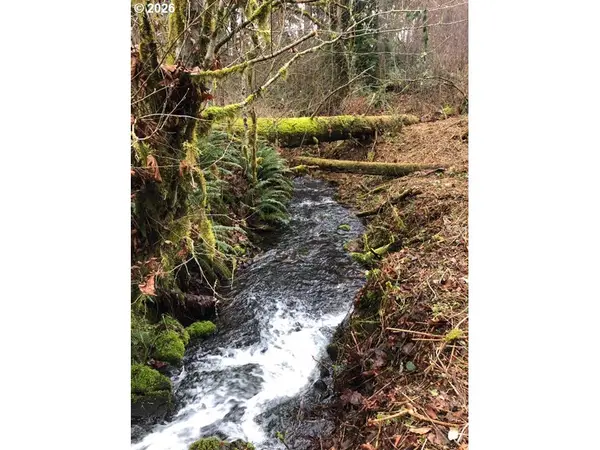 17719 NE MANNING CIR, Amboy, WA 98601