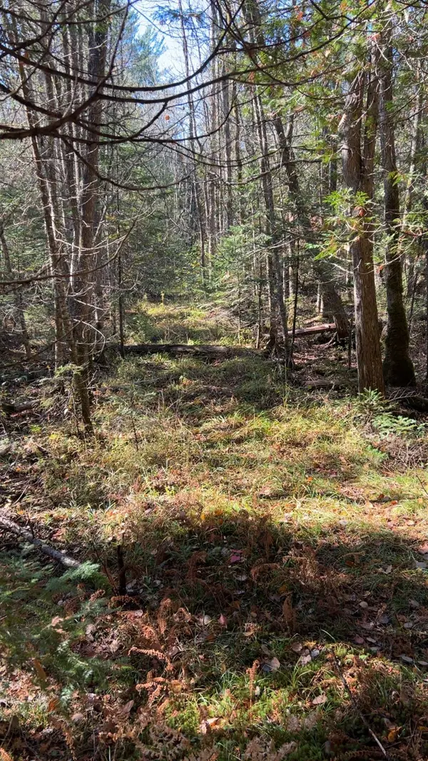 Con 1 Lot 4 N/A, Bancroft, ON K0L 2S0