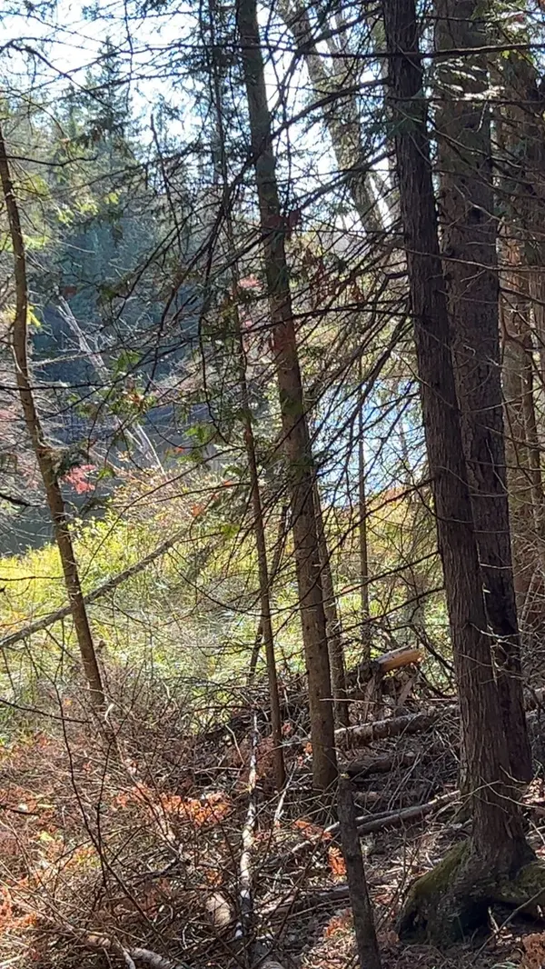 Con 1 Lot 4 N/A, Bancroft, ON K0L 2S0