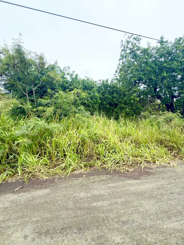 MARK TWAIN ST, Naalehu, HI 96772