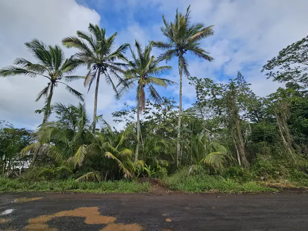 36TH AVE, Kurtistown, HI 96760