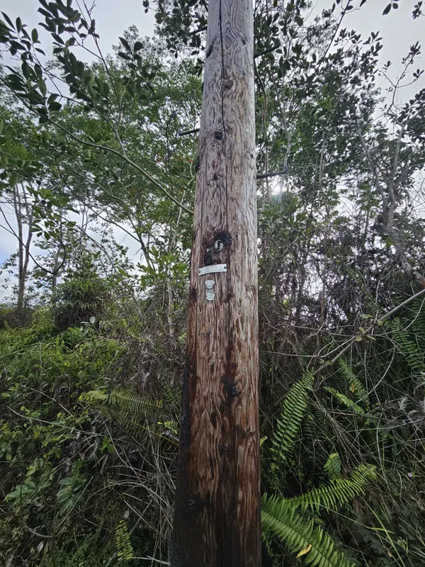 36TH AVE, Kurtistown, HI 96760