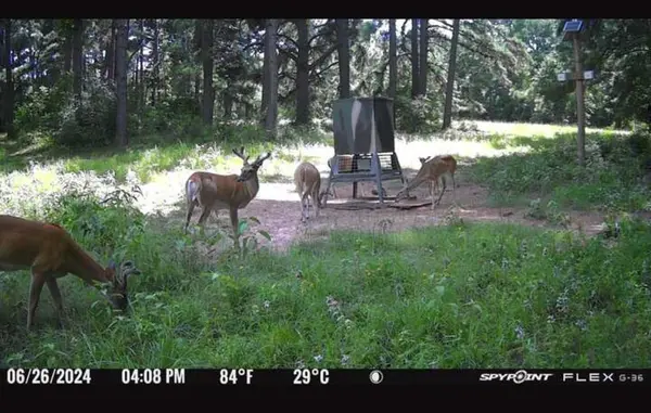 541 FCR 240, Fairfield, TX 75840