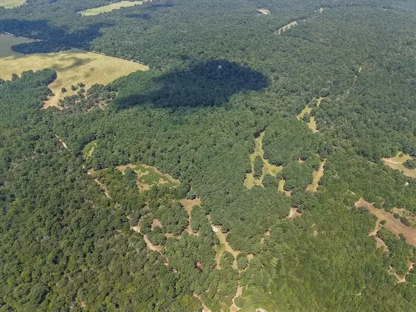 541 FCR 240, Fairfield, TX 75840