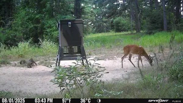 541 FCR 240, Fairfield, TX 75840