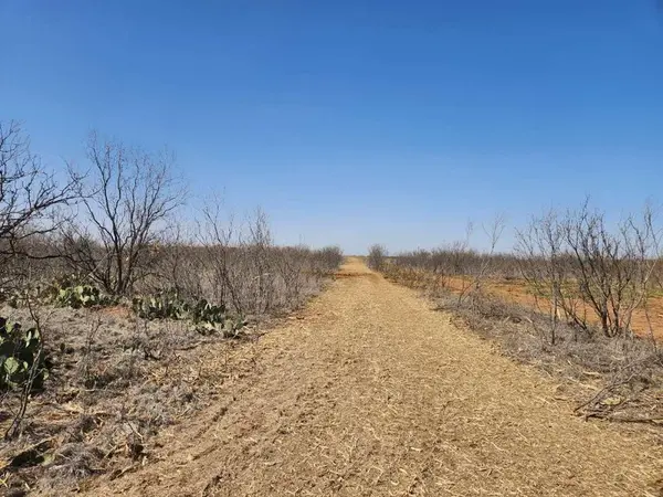 12929 County Road 356, Anson, TX 79501