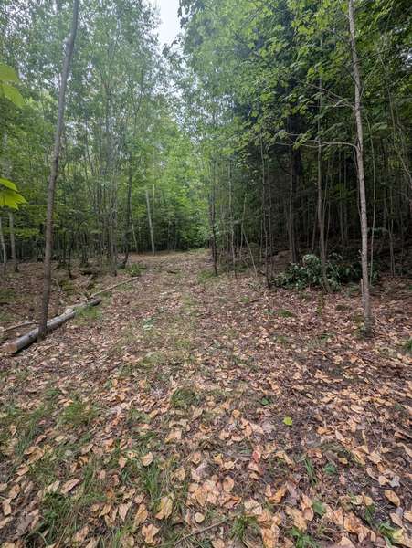 00 Kamaniskeg Lake RD, Hastings Highlands, ON K0J 1L0