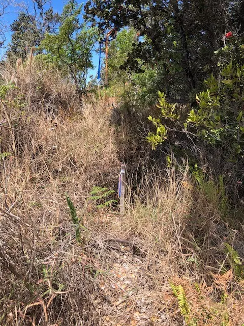 BAMBOO LN, Ocean View, HI 96737