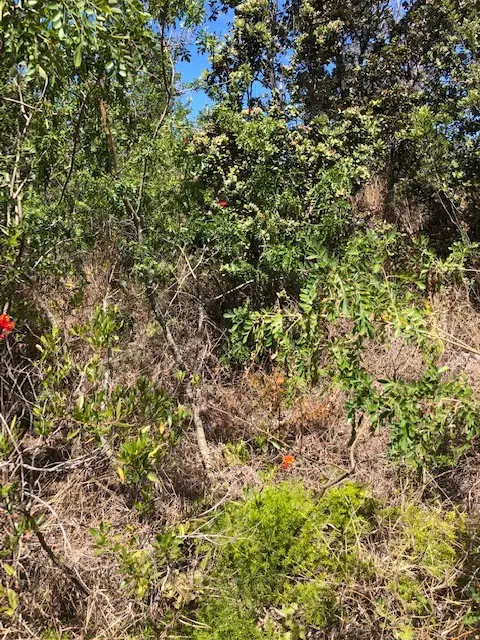 BAMBOO LN, Ocean View, HI 96737