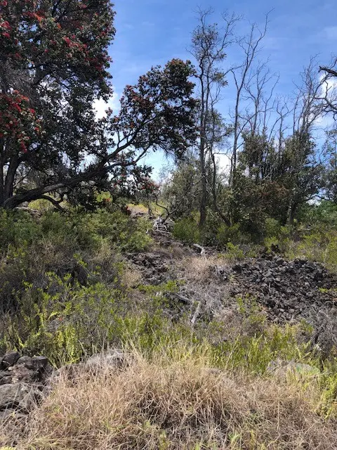 92-8268 TRADE WIND BLVD, Ocean View, HI 96737