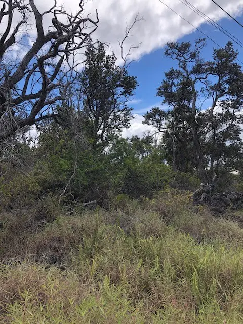 92-8268 TRADE WIND BLVD, Ocean View, HI 96737