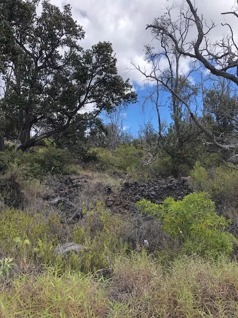 92-8268 TRADE WIND BLVD, Ocean View, HI 96737