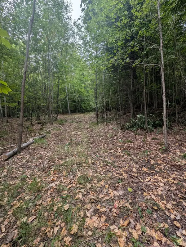 00 Kamaniskeg Lake RD, Hastings Highlands, ON K0J 1L0