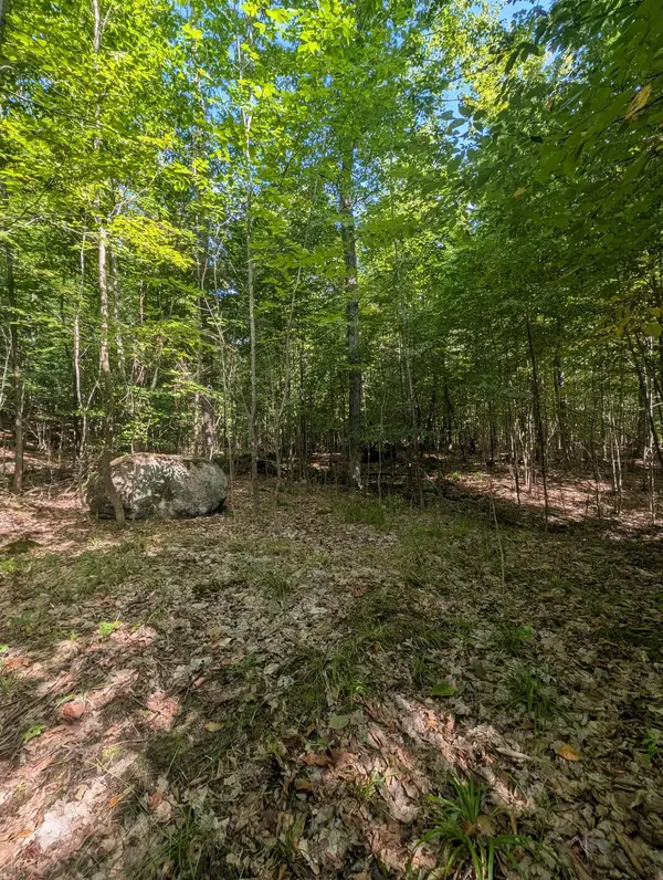 00 Kamaniskeg Lake RD, Hastings Highlands, ON K0J 1L0