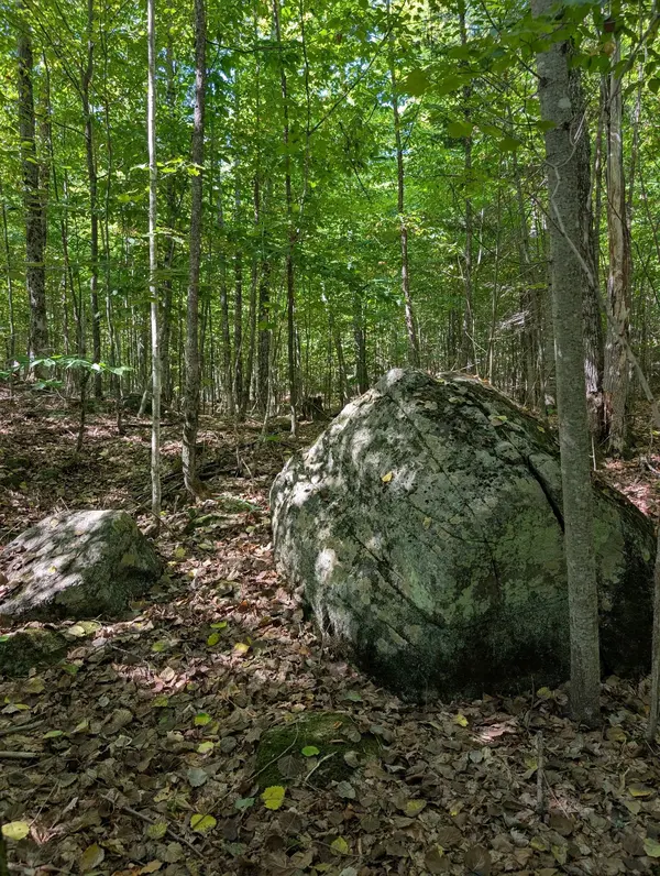 00 Kamaniskeg Lake RD, Hastings Highlands, ON K0J 1L0