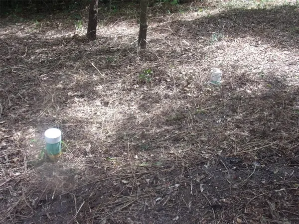 751 Dogwood Trail, Murchison, TX 75778