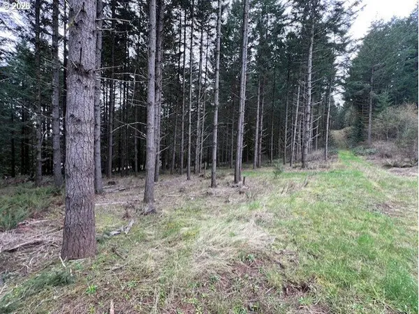 Deer CT, Banks, OR 97106