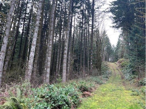 Deer CT, Banks, OR 97106