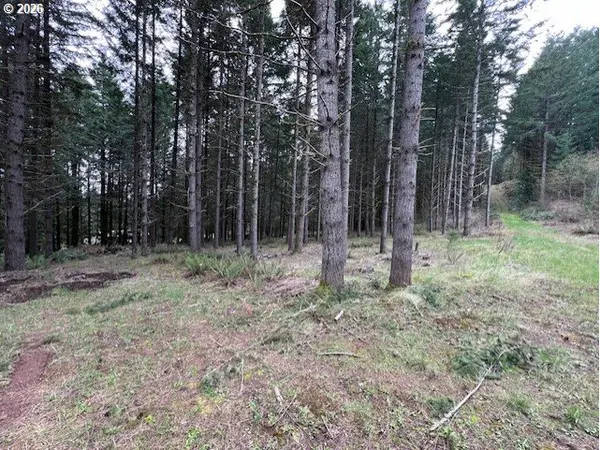 Deer CT, Banks, OR 97106