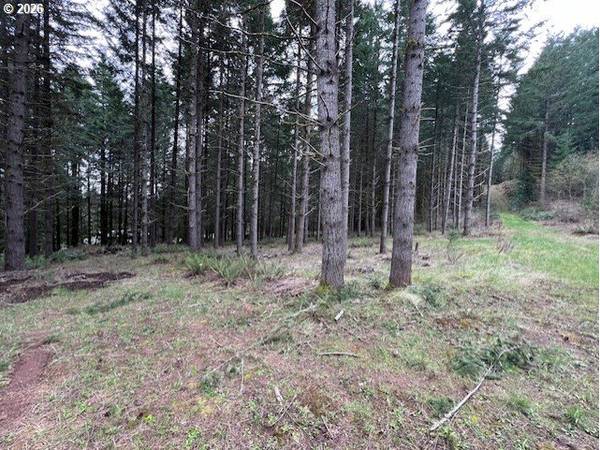 Deer CT, Banks, OR 97106