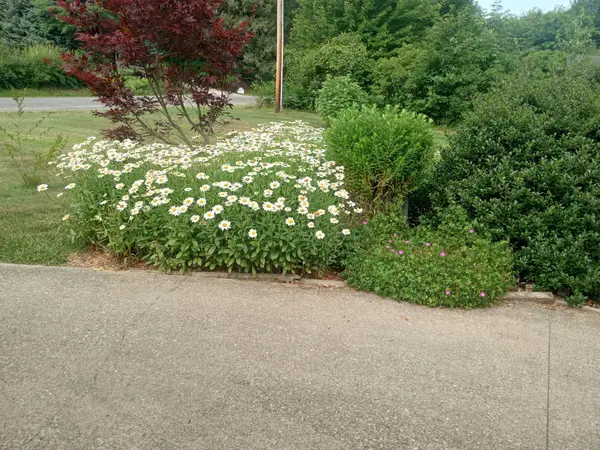 4453 Hicks AVE, Benton Twp, MI 49022