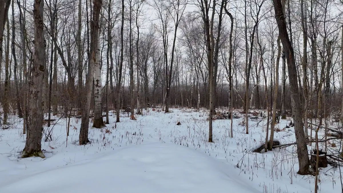 Part 3 Lot 26 Tillicum Bay RD, Callander, ON P0H 1H0