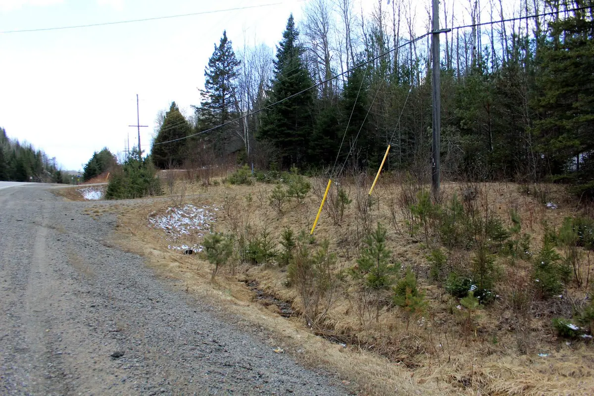 PtLt 16 Highway 62 N/A N, Hastings Highlands, ON K0L 1C0