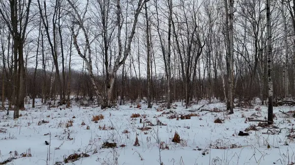 Part 3 Lot 26 Tillicum Bay RD, Callander, ON P0H 1H0