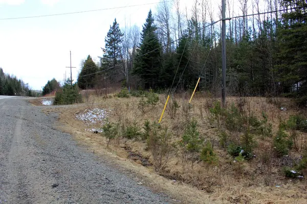 PtLt 16 Highway 62 N/A N, Hastings Highlands, ON K0L 1C0