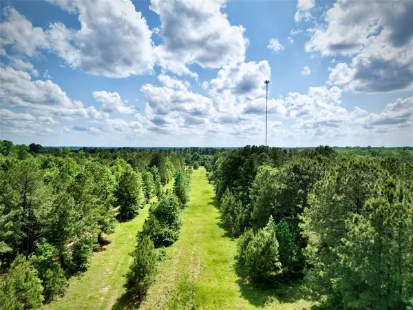 0 Bethel Road, Frierson, LA 71027