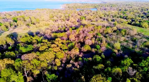 18062 Nelson Loop, Streetman, TX 75859