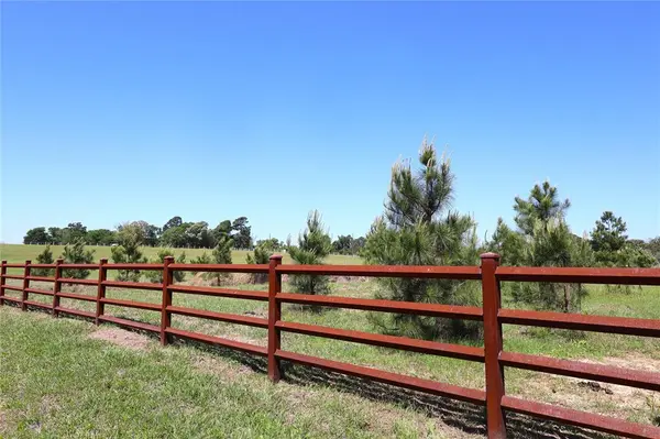 1140 CR-3412, Chandler, TX 75758