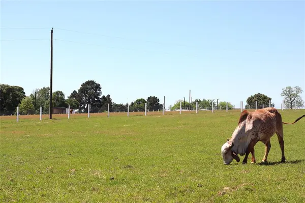 1140 Lot 2 CR-3412, Chandler, TX 75758