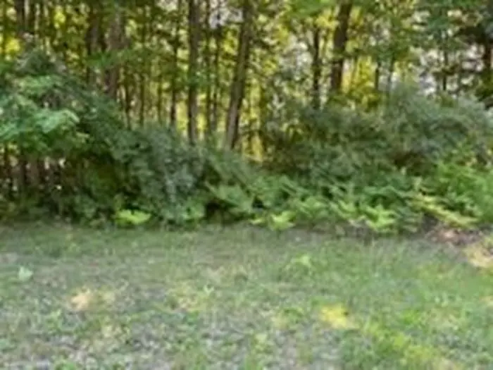 N/A Huron Woods DR, Whitney Twp, MI 48763