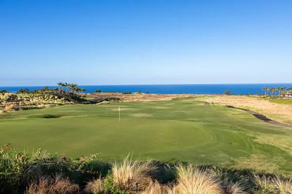 62-4422 AMAUI NANI PL, Kamuela, HI 96743