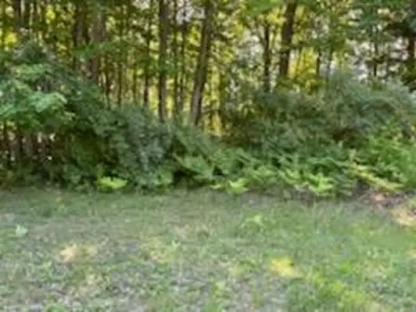 N/A Huron Woods DR, Whitney Twp, MI 48763