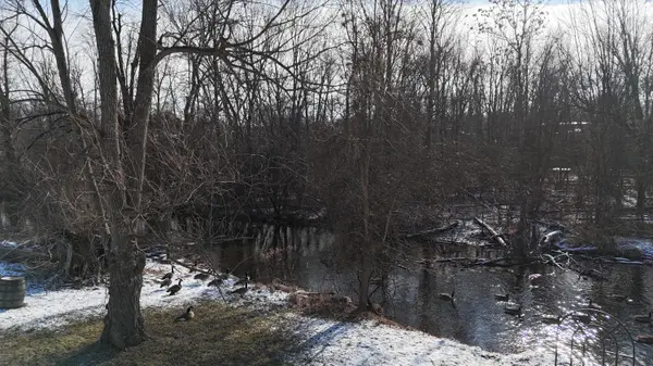 7525 Huron River DR, Webster Twp, MI 48130