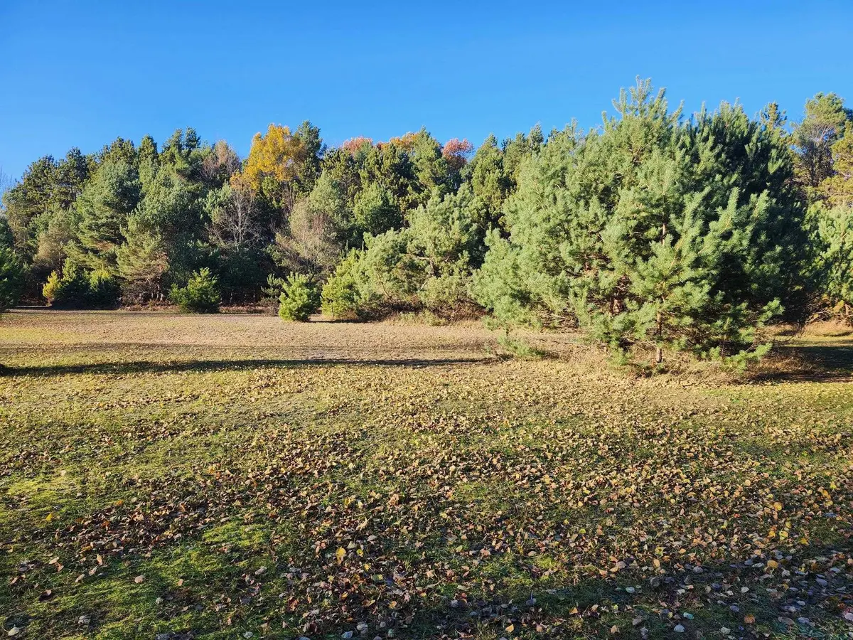 VL 9 Mile RD, Bear Lake Twp, MI 49645