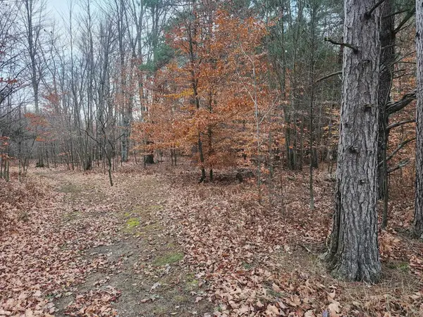 VL 9 Mile RD, Bear Lake Twp, MI 49645