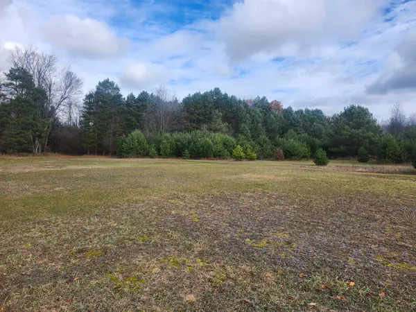 VL 9 Mile RD, Bear Lake Twp, MI 49645