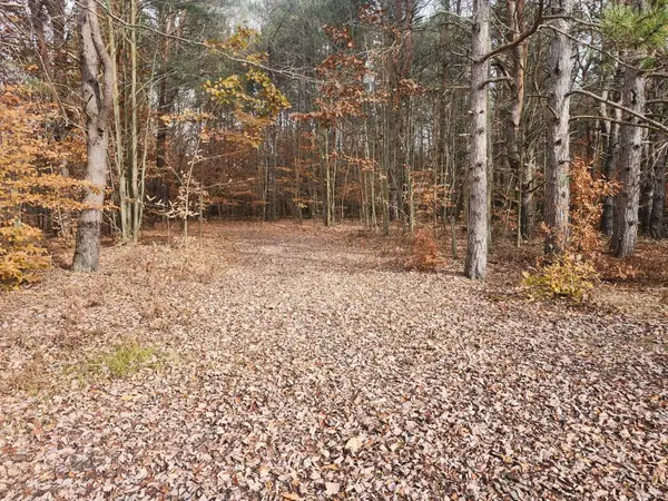 VL 9 Mile RD, Bear Lake Twp, MI 49645