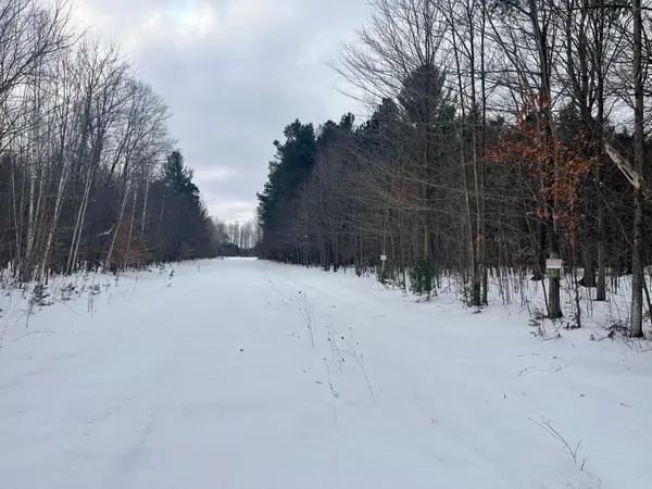 VL 9 Mile RD, Bear Lake Twp, MI 49645