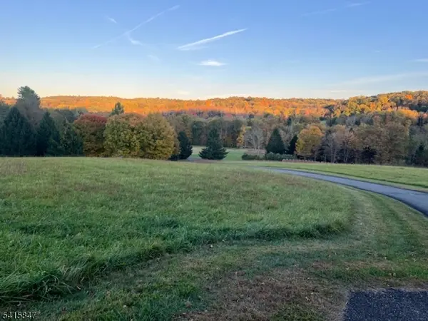 37 Branch Rd, Peapack Gladstone Boro, NJ 07931