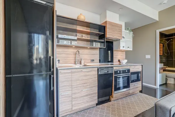 75 St Nicholas ST #1109, Toronto C01, ON M4Y 0A5