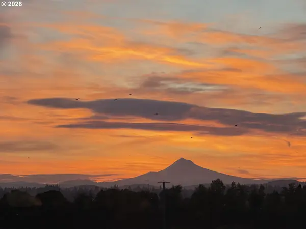 3570 S RIVER PKWY #1303, Portland, OR 97239