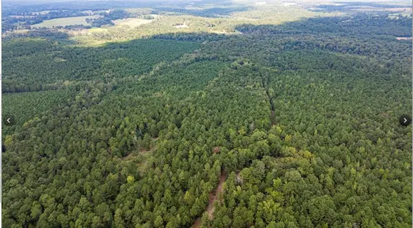 TBD County Road 1582, Avinger, TX 75630