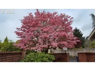 16860 SW CAMINO DR, King City, OR 97224