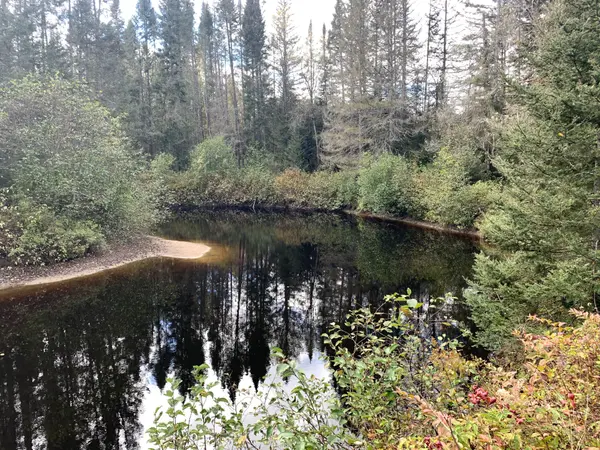 101 Proudfoot RD, Armour, ON P0A 1Z0